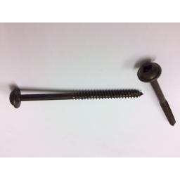 Screws 2 inch photo.jpg