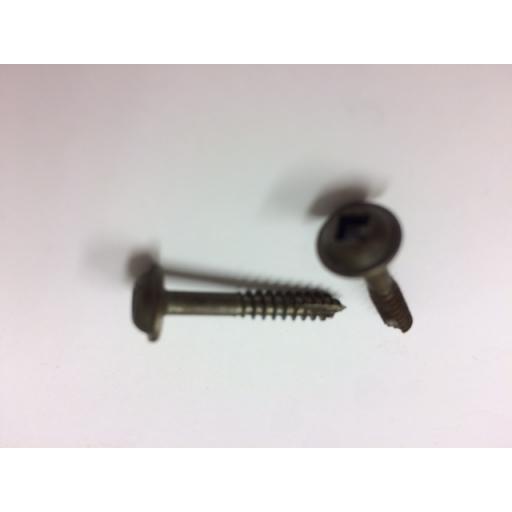 Screws 1 Inch photo.jpg